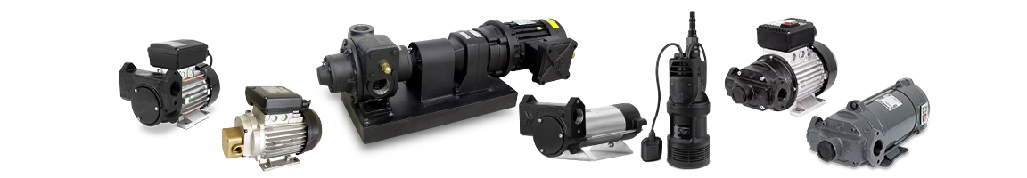 Fuel and lubricant pumps